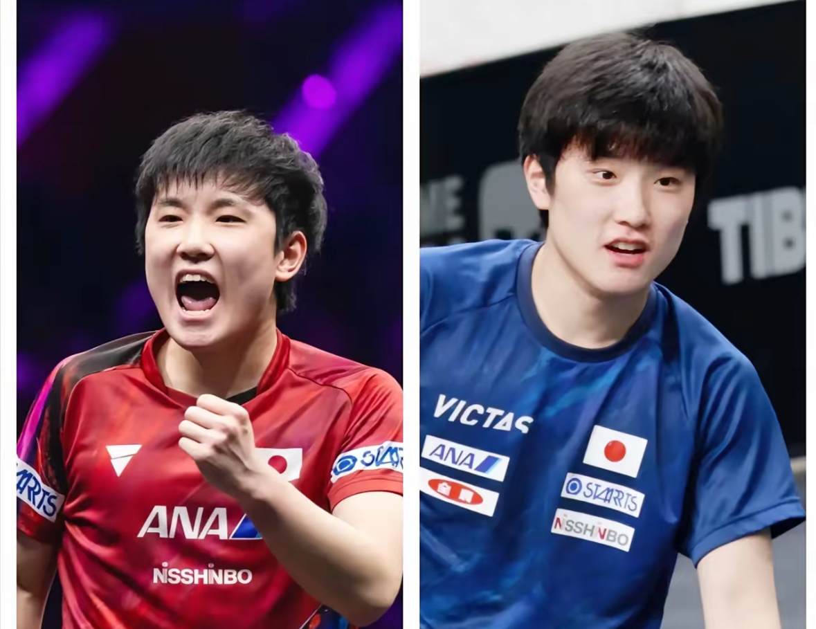 韩国队横扫法国队，张本智和惊艳四座