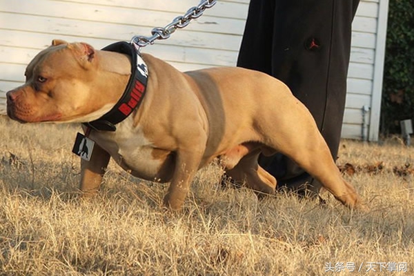 波尔多迎来连胜，稳住联赛前列位置